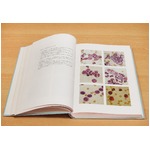 獣医血液学 全３巻 【古書・希少商品】【中古】