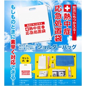 熱中症対策応急処置袋12袋入り1箱