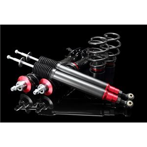 FIT GE8 GE6 全長調整式（フルタップ式）車高調整キット【減衰力 カー用品 サスペンションキット】【ラルグス／Largus Spec S】