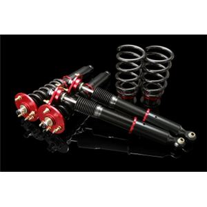 オデッセイ RA6／RA8 全長調整式（フルタップ式）車高調整キット【減衰力 カー用品 サスペンションキット】【ラルグス／Largus Spec S】