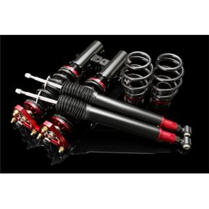 シビック typeR EURO FN2 全長調整式（フルタップ式）車高調整キット【減衰力 カー用品 サスペンションキット】【ラルグス／Largus Spec S】