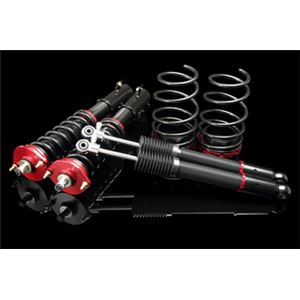 パッソ KGC30 全長調整式（フルタップ式）車高調整キット【減衰力 カー用品 サスペンションキット】【ラルグス／Largus Spec S】