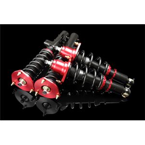 プリウス NHW20 全長調整式（フルタップ式）車高調整キット【減衰力 カー用品 サスペンションキット】【ラルグス／Largus Spec S】