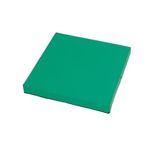 イノアックリビング リハビリ用品 ロコモマット LCM-5001