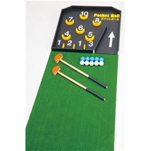羽立工業 レクリエーション ポケットボールセット NH4120