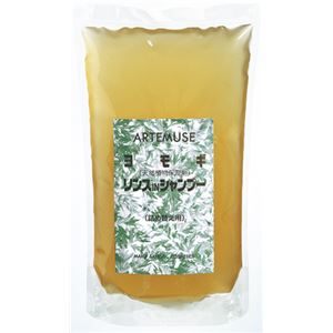 （まとめ）三興物産 入浴備品 よもぎリンスINシャンプー 詰め替え用700ml C322【×2セット】