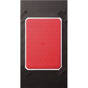 アロン化成 入浴マット おく楽すべり止めマット 小 レッド 535-130