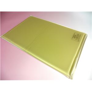 アクションジャパン 入浴備品 特浴用アクションパッド （3）平状（カバーなし） #40692