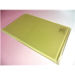 アクションジャパン 入浴備品 特浴用アクションパッド （3）平状（カバーなし） #40692