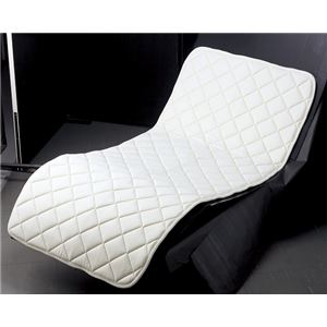 ピュアライフ ベッドパッド ピュアライフエアーパッドEX-W（2）PA4001C 100×200 PA4001C