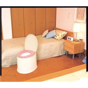 パナソニックエイジフリーライフテック 樹脂製ポータブルトイレ ポータブルトイレポケット付DX VALPTHBEDX