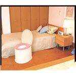 パナソニックエイジフリーライフテック 樹脂製ポータブルトイレ ポータブルトイレポケット付DX VALPTHBEDX