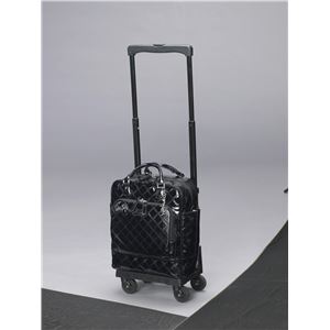 スワニー ショッピングカー ウォーキングバッグD-113エマイロ TS15 ブラック 11394