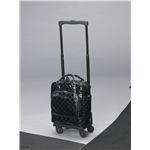 スワニー ショッピングカー ウォーキングバッグD-113エマイロ TS15 ブラック 11394