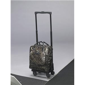 スワニー ショッピングカー ウォーキングバッグD-113エマイロ TS15 グレー 11304