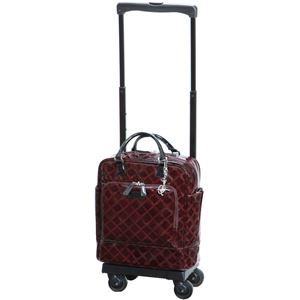 スワニー ショッピングカー ウォーキングバッグD-113エマイロ M18 ボルドー 11311