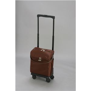 スワニー ショッピングカー ウォーキングバッグD-116ジップIII L21 ブラウン 11630