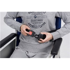 特殊衣料 車いす用小物 車椅子シートベルト カーバックルタイプ 4017