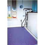 ウィズ 入浴マット スーパーバイオマット ライトブルー 100×100 BM11B