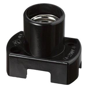 （まとめ）20WグローソケットE17黒 ヤザワ SF1700BK【×30セット】