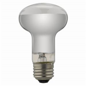 （まとめ）レフ形白熱ランプ ヤザワ RF100V38W【×10セット】