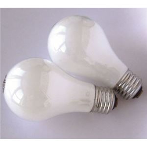 （まとめ）白熱電球100W形2個パック GE LW100V90WGE2PK【×25セット】