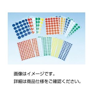 （まとめ）ポイントラベル S【×10セット】
