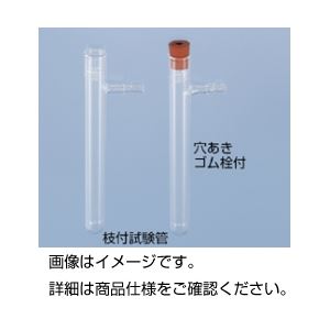（まとめ）枝付試験管（穴あきゴム栓付）【×10セット】