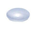 （まとめ）時計皿 150φ【×10セット】