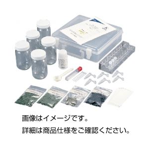 光合成色素分離セット TLC-5 （5人分）