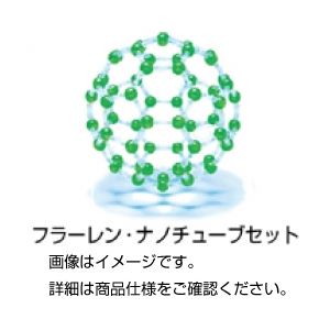 （まとめ）フラーレン・ナノチューブセット FNC-2【×20セット】