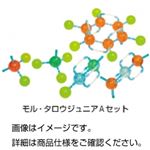 （まとめ）分子構造模型 ジュニアAセット MJS-1【×20セット】