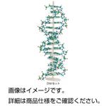 （まとめ）モルタロウタンパク質セットIIIβシート PRT【×20セット】