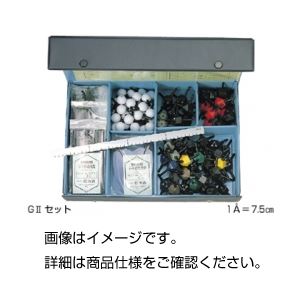HGS大型講義用分子模型有機化学GIIセット