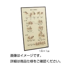 HGSパネル模型 糖の立体構造