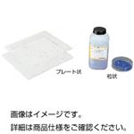 （まとめ）デシケーター用乾燥剤粒状（500g）【×3セット】