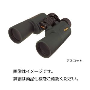 ビクセン双眼鏡 8倍〜32倍（アスコット） ZR8〜32×50