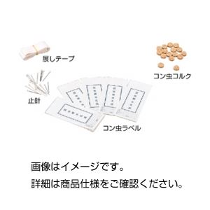 （まとめ）コン虫標本製作用品 コン虫コルク【×20セット】