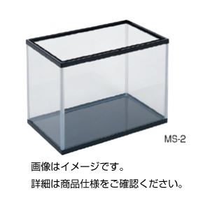 アクアリウム MS-2