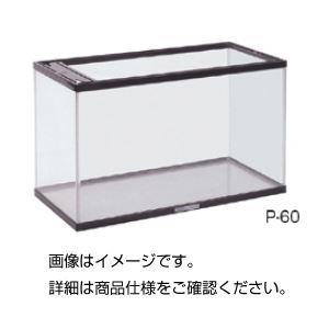 アクアリウム P-60