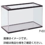 アクアリウム P-60