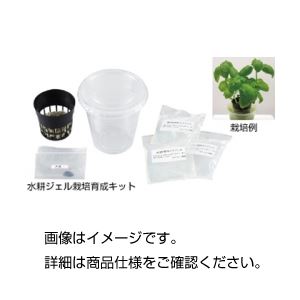 水耕ジェル栽培育成キットミズナ 入数：10セット