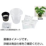 水耕ジェル栽培育成キットバジル 入数：10セット