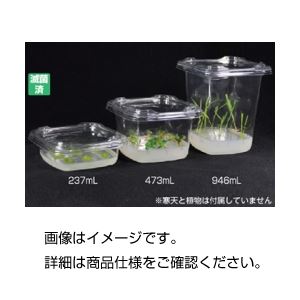 （まとめ）プラントボックス（滅菌済） 946mL 入数：25【×3セット】
