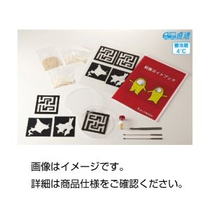 粘菌の特性実験セット HKD