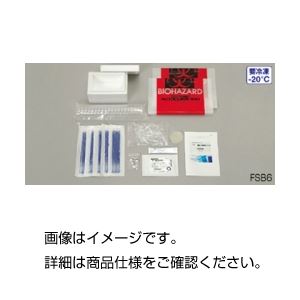 （まとめ）DNA鑑定キット FSB8【×3セット】