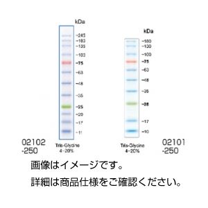 （まとめ）タンパク質分子量マーカー02102-250【×5セット】