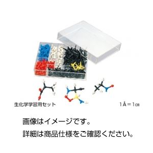 （まとめ）HGS生化学学生用分子模型 生化学学習用セット【×5セット】