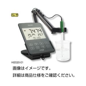 タブレット型pH計 edge HI2040-01
