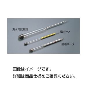（まとめ）ボーメ比重計 塩ボーメ【×10セット】